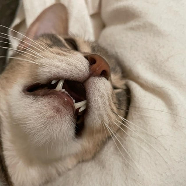 あれから…