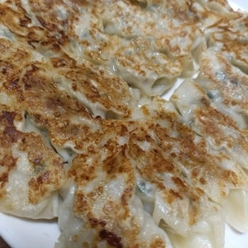 餃子
