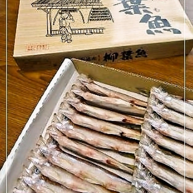 本物のシシャモ！！！
