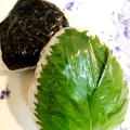 鮭としいたけ昆布にぎりのランチ弁当＠北海道の大地の恵みが凝縮☆減塩こんぶ茶、玉露園