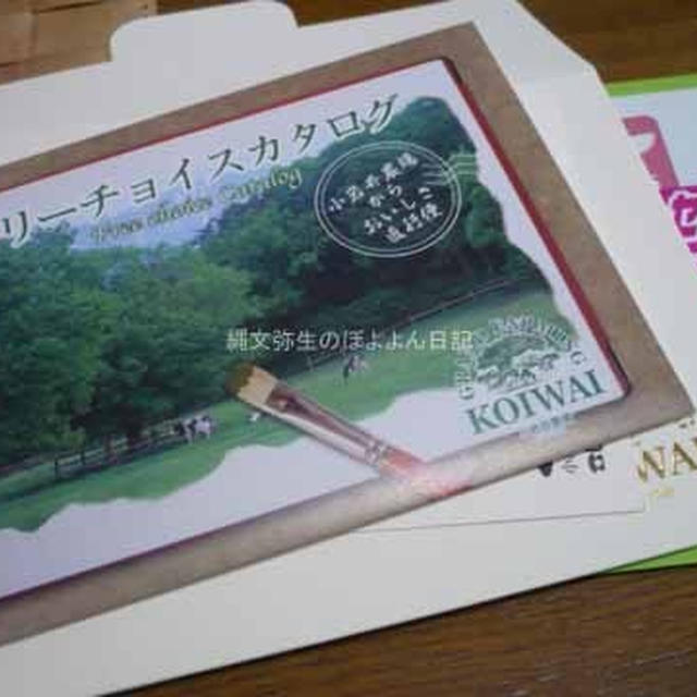 当選品＆ESSEレポーター募集＆近況もろもろ