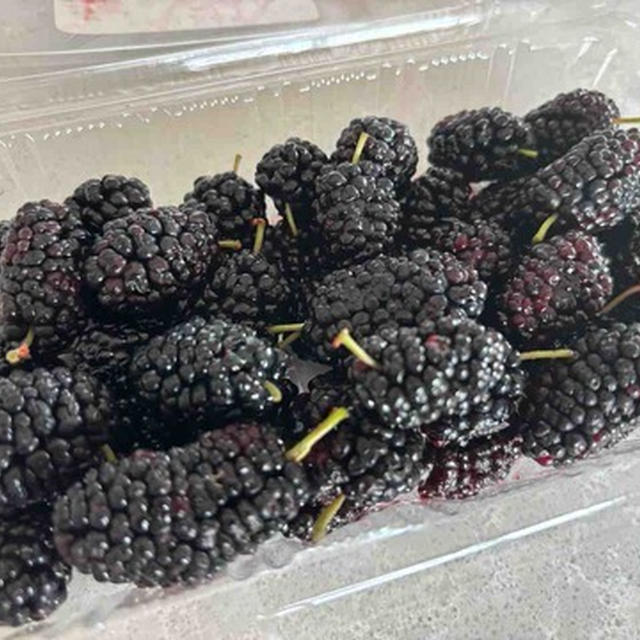 未来の自分への貯蔵食の続き
