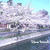 2014桜