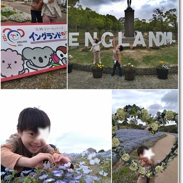 【ネモフィラ畑】淡路島イングランドの丘で玉葱収穫を子供達が体験♪簡単美味しいチン玉