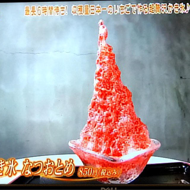 テレビ出演「にじいろジーン」で 最長6時間待ち！世界一を目指す 贅沢かき氷！栃木いちご