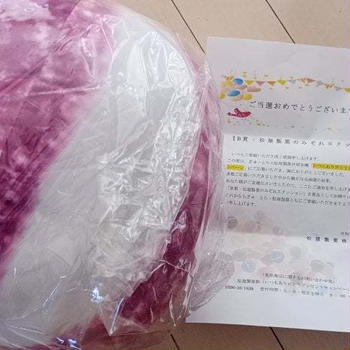 ぎゅーとら×松屋製菓　当選