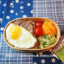 ステーキ弁当