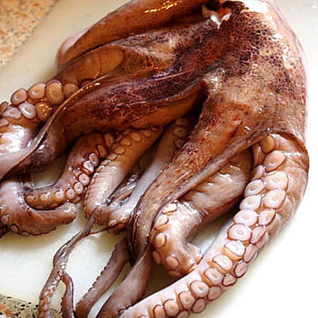 2015年夏の思い出－タコ料理編