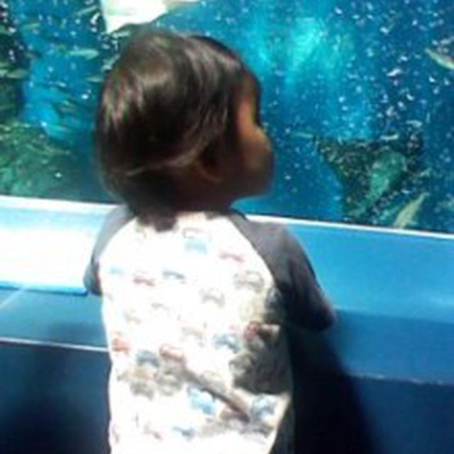 水族館ママ会☆エプソン品川アクアスタジアム