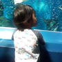 水族館ママ会☆エプソン品川アクアスタジアム