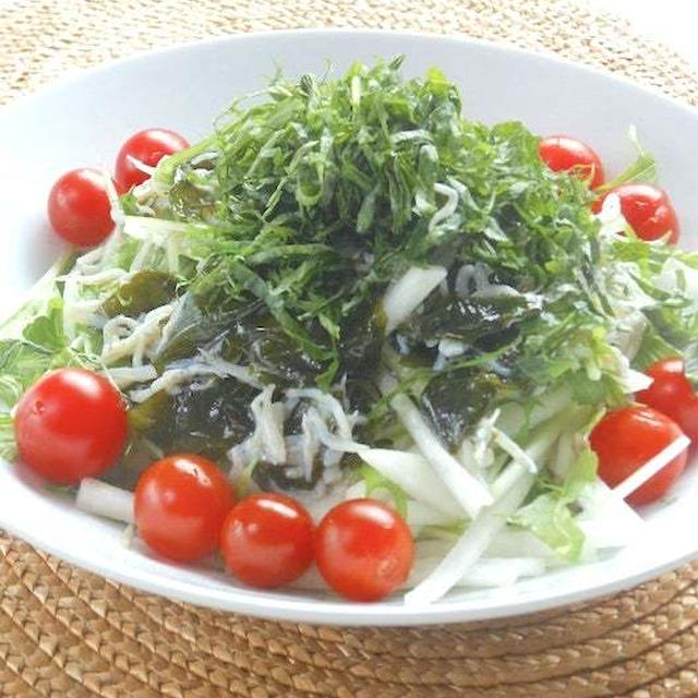 しらすワカメドレッシングでさっぱり旨い！大根と水菜のサラダ。