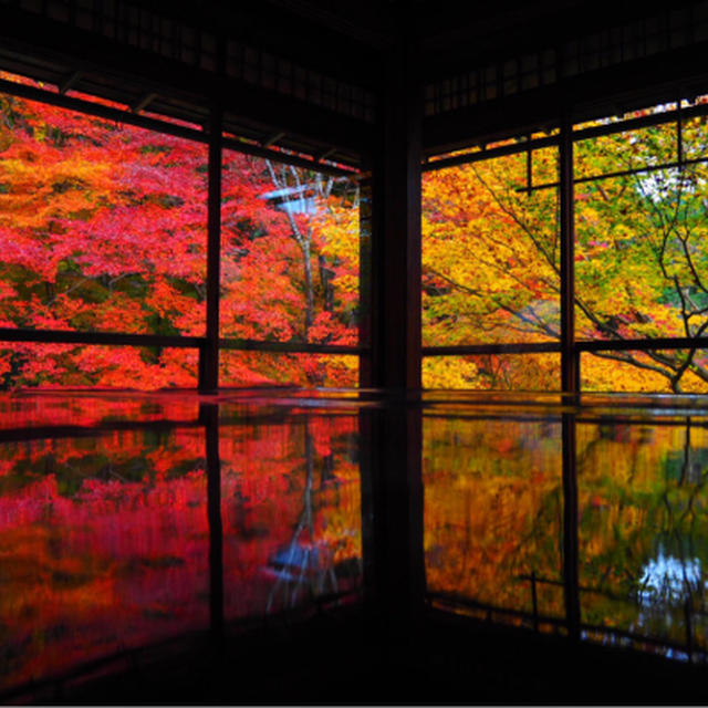 京都旅行2016年11月⑤瑠璃光院、貴船神社、北野天満宮ライトアップ