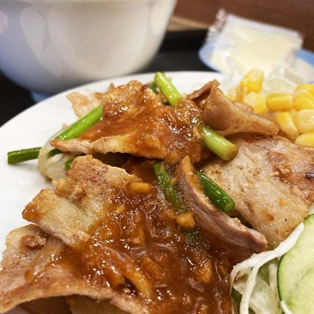 スタミナ豚カルビ生姜焼定食を食べる 〜松屋〜