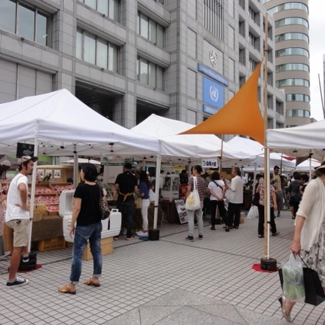 青山にてエアープランツに出会った！