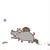お久しぶりデス