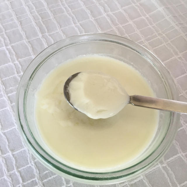 生姜ミルクプリンは固まるか！