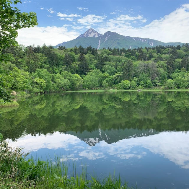 【花の浮島礼文島と利尻山トレッキング】