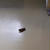 さぼってますがなにか！？