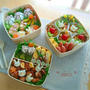 * 大きなお弁当 いろいろ *