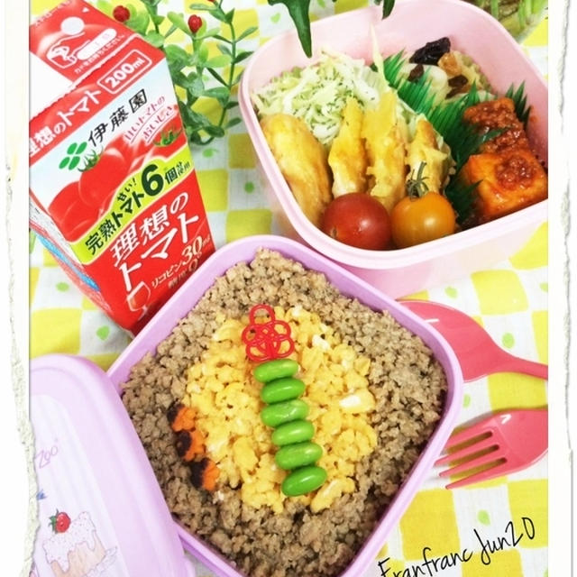 🌺JD弁当No.34🌺鶏そぼろ丼