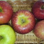 りんご5種類