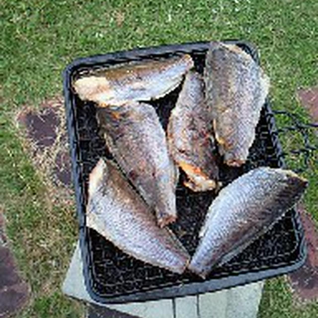 夏休みの終わりは友人宅で大騒ぎ