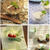 【まとめ】夏の冷たいデザート8recipes♪　と　部活帰りのプリクラ。　
