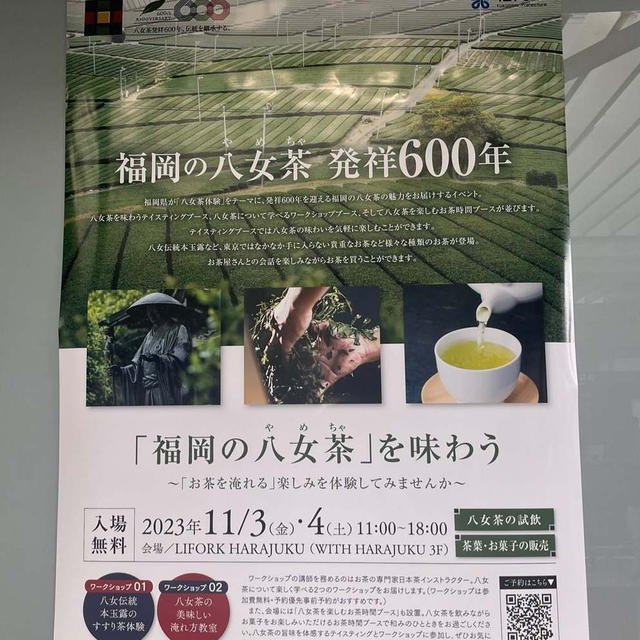 福岡の八女茶を味わう～八女茶のいれ方体験