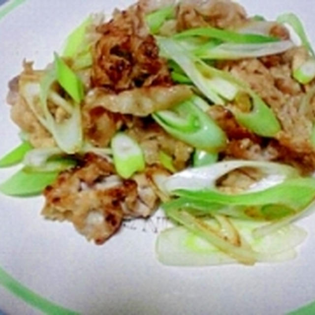 塩麹ねぎ豚焼き　/　次はプラレール博