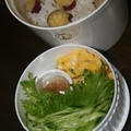 11月28日　　さつま芋ごはん＆蓮根鶏つくねの シチュー弁当