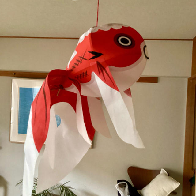 うちも夏仕様で、金魚ちょうちん