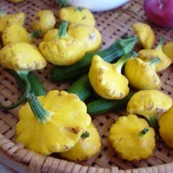 Patty Pan Squash