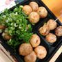 ランチはたこ焼きミュージアム～デックス東京