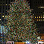 NewYork ロックフェラーセンターのクリスマスツリー 点灯式