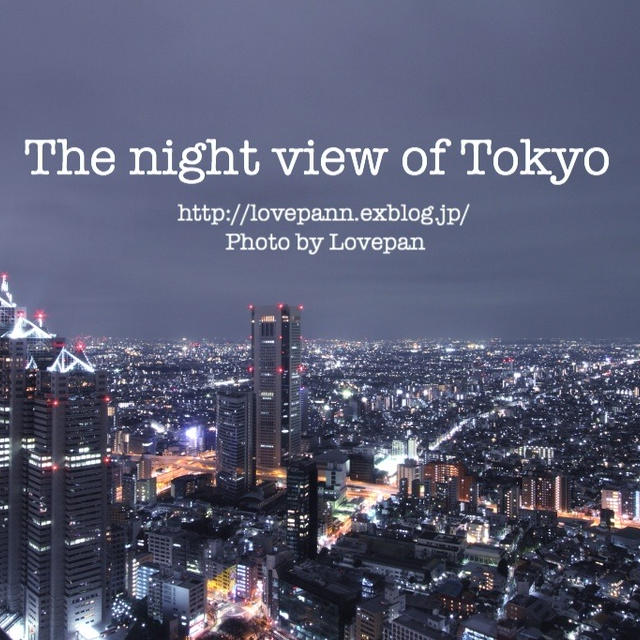 いつかの夜景