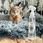 【PR】ワンちゃん＆ネコちゃん ペット用化粧水「ララ ペレッティー」が安全＆万能で助かる♪