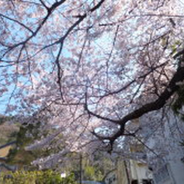 箱根旅行☆