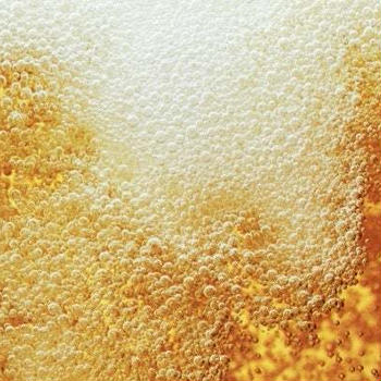 泡と澱が魅惑の「瓶内二次発酵ビール」♪