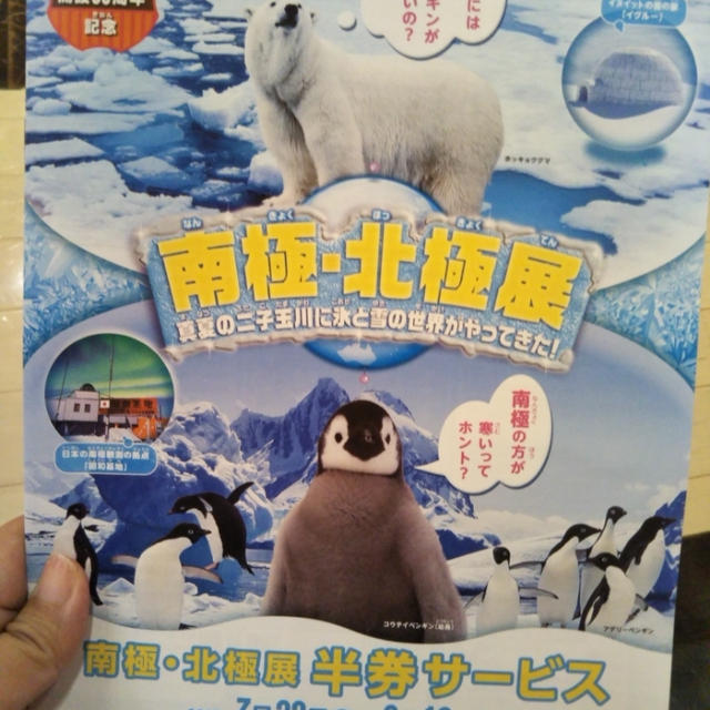 会員登録で入場無料☆南極・北極展～真夏の二子玉川に氷と雪の世界がやってきた！～