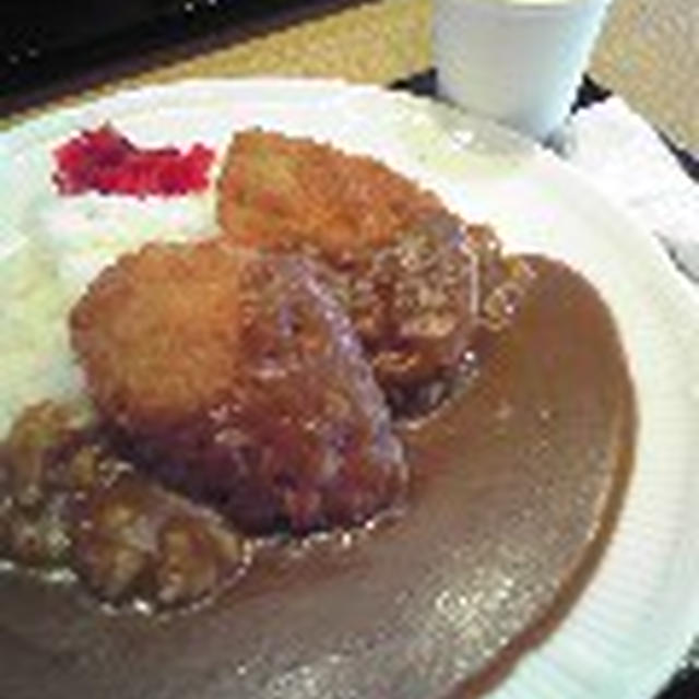 絵に描いたようなカツカレー