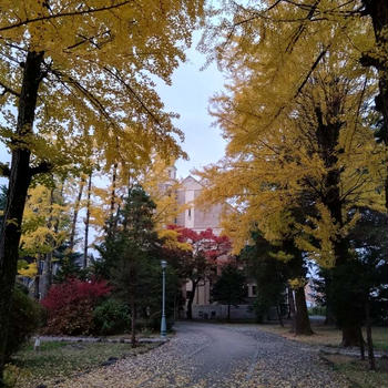 紅葉の信州＆草津温泉・・・・３日目（11/16）♪