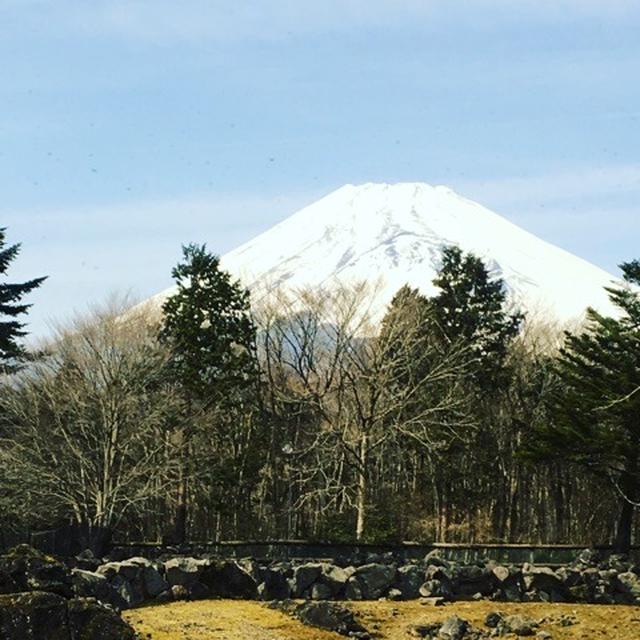 静岡に行ってきました。