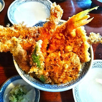 おそとごはん ～土手の伊勢屋～ ＆ 古代DNA展