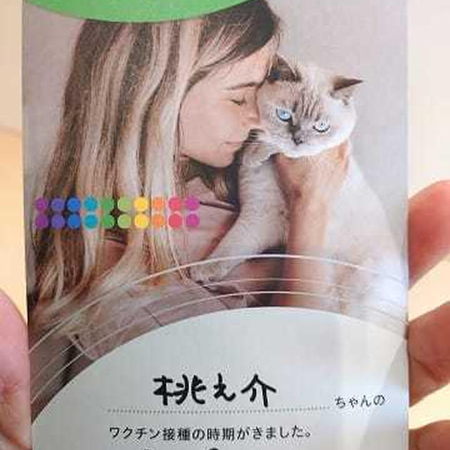 初体験がいっぱい！