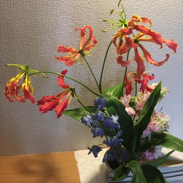 久々の……