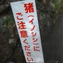 2012.11.4 岐阜城へ。（一応名目は取材じゃ！）