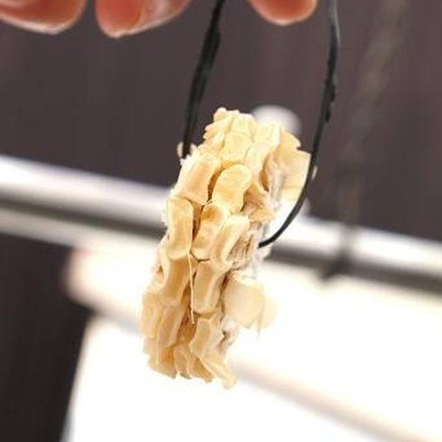 食いしん坊ばんざい