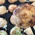 鉄製たこ焼きプレートで失敗せずに直火で焼くコツ。くっつかない・焦がさないポイントとは？