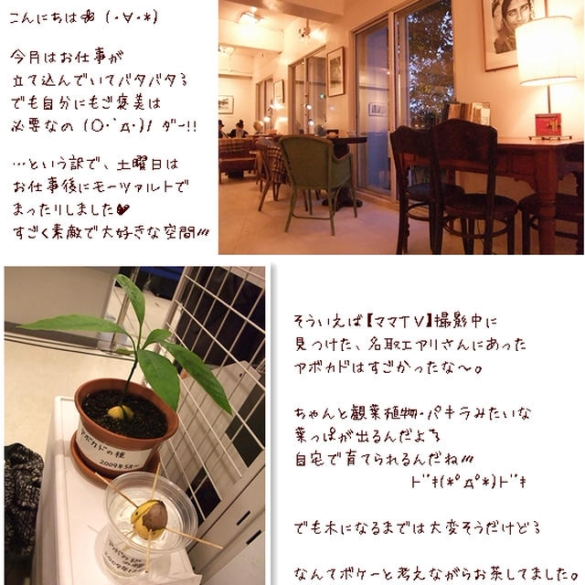 映画■アバター・３D■＆内緒にしたい秘密の…(*´ﾉД｀)ｺｿｯ