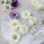 【レポ】　生花を観察してお花を絞るレッスン